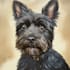 create a cute pet portrait