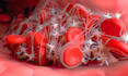 do 3d visualization medical animation