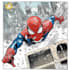 draw a  graphic novels and comic book