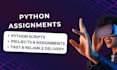 do python programming, assignments, and projects efficiently
