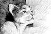 draw black and white illustrations