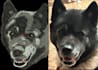 do a embroidery live image digitizing  with in 2 to 4 hours