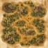 create a custom fantasy map