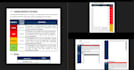 perform professional web application penetration testing