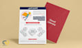 professional infographic design services