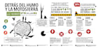 create stunning custom infographics design