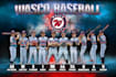 design stunning baseball team and player banners