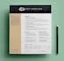 create professional ats friendly CV or resume to boost job succes