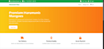 create professional website, custom software and ecommerce solutions