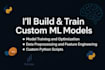 build, train, and fine tune machine learning models