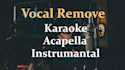 remove vocals from any song  create custom karaoke tracks