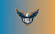 do wonderful eagle mascot logo design with express delivery