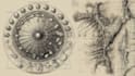 make a scientific illustration for your next paper
