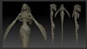 make a 3d character model