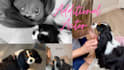 create a gen x ugc video for your product, brand or service