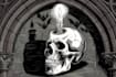 draw dark art illustration with engraving style