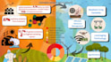 create educational, research infographic poster presentation