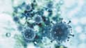 do any work related to biomedical science and technology