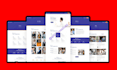 build, design, redesign, edit, fix, or clone your wordpress website