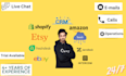 offer professional customer support for your online store