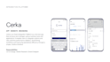 design a professional and intuitive mobile app UI UX