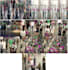 develop ai object detection tracking and surveillance systems