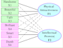 data analysis using spss, amos, and smartpls
