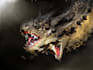 create realistic creature modelling, scuplting and texturing