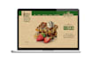create a website