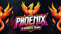 create professional falcon phoenix logo