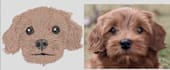 digitize your pet in one an hour