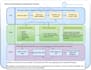 write policies and standard operating procedures sops