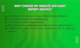 do an complete website SEO audit to fix technical issues
