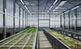 do 3d greenhouse design, terrace, garden, backyard with realistic rendering