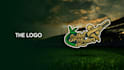 design fantastic high quality cricket logo