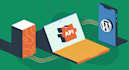 do api integration in wordpress woocommerce php website