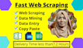 do lead generation,data entry,data scraping and email list building expert