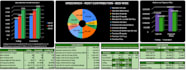 create professional excel models, forecasts or budgets