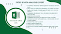 excel graphs, charts, pivot table, data clean, PDF to excel and dashboard