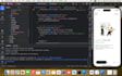 fix bugs in flutter app, publish apps on play store and ios, flutter bug