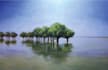 hand drawn artistic watercolor and acrylic art