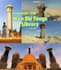 build anything in minecraft
