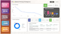 build you a professional power bi dashboard