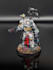 do a professional miniature painting service warforgecolors