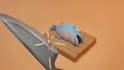 create high quality 3d character animations for games in blender