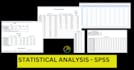 provide expert data analysis and interpretation using spss and amos