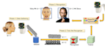do yolo object detection, object segmentation and object tracking project