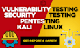 do penetration and vulnerability test with detailed report