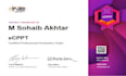 perform a professional penetration test and security audit