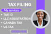 file foreign owned llc tax returns